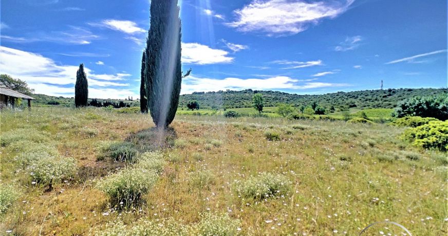 vente Terrain agricole Saint Paul Et Valmalle