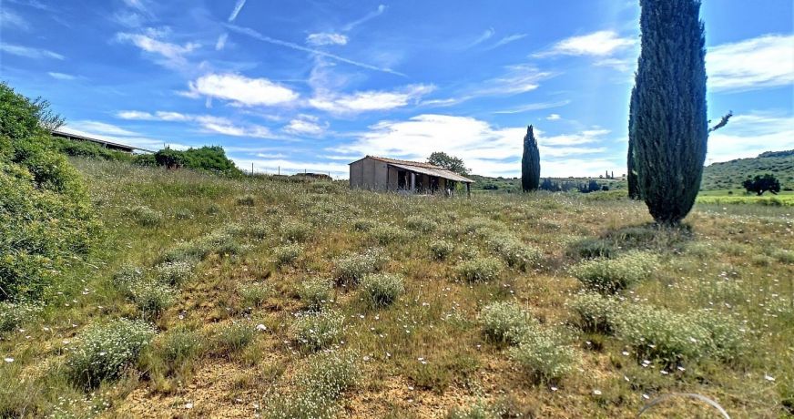 vente Terrain agricole Saint Paul Et Valmalle