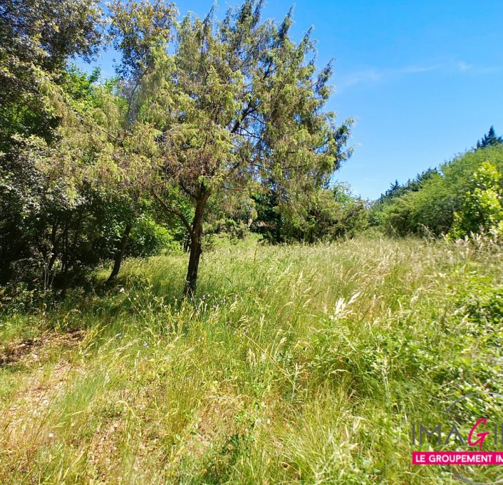 vente Villa Argelliers
