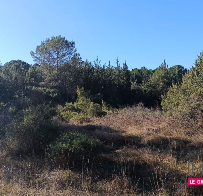 à vendre Terrain agricole Montarnaud