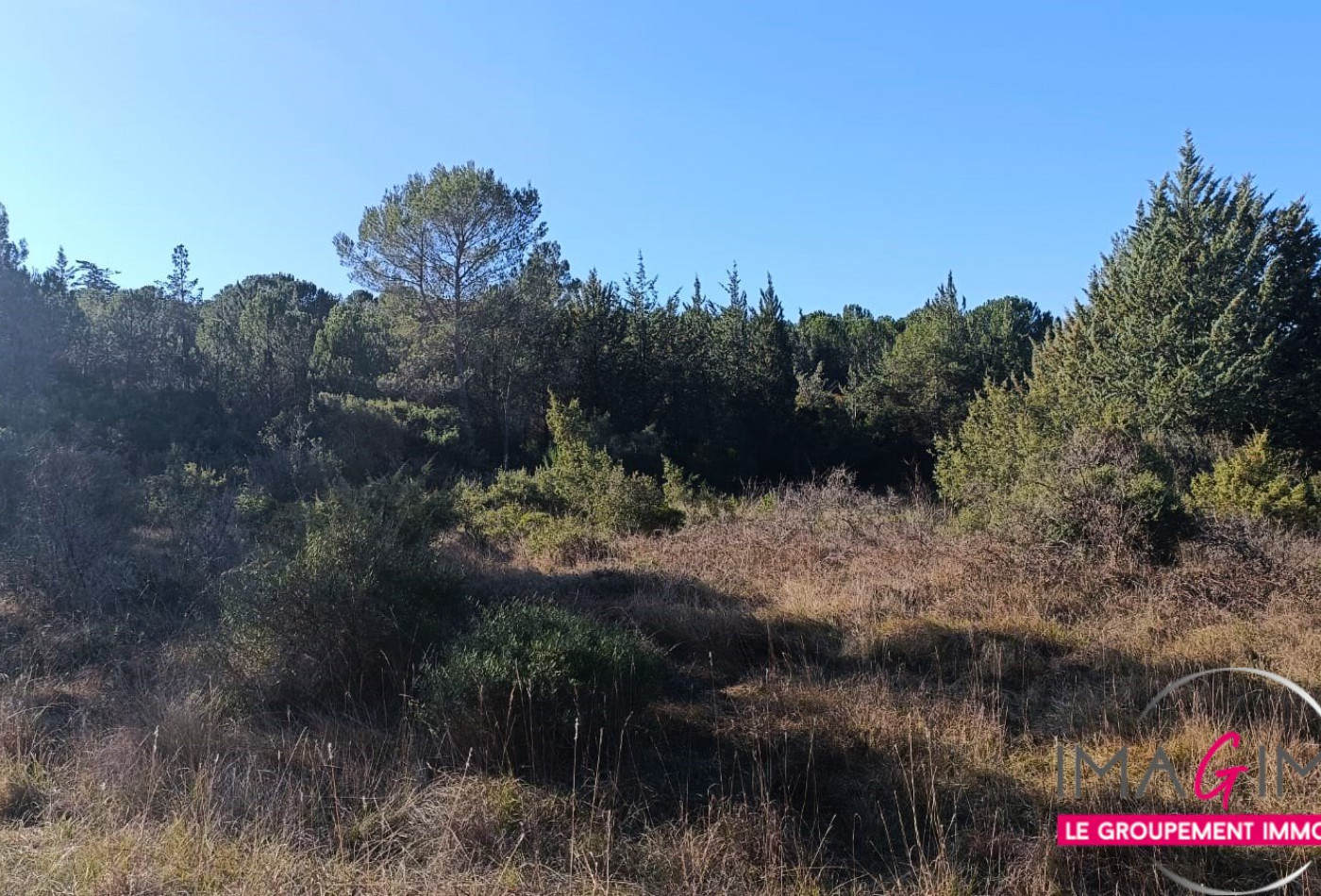 à vendre Terrain agricole Montarnaud - Photo 3