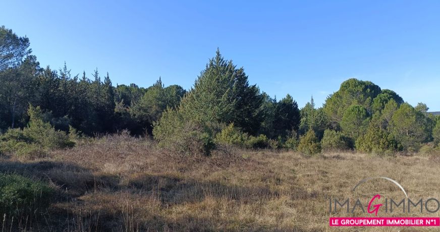 vente Terrain agricole Montarnaud