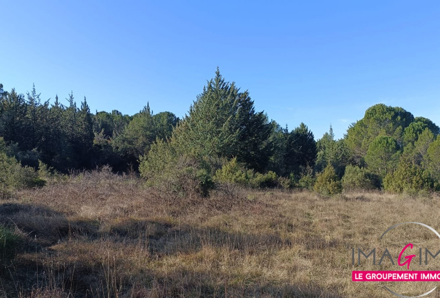 à vendre Terrain agricole Montarnaud - Photo 1