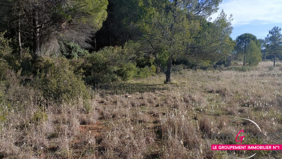 vente Terrain agricole Montarnaud - Photo 4