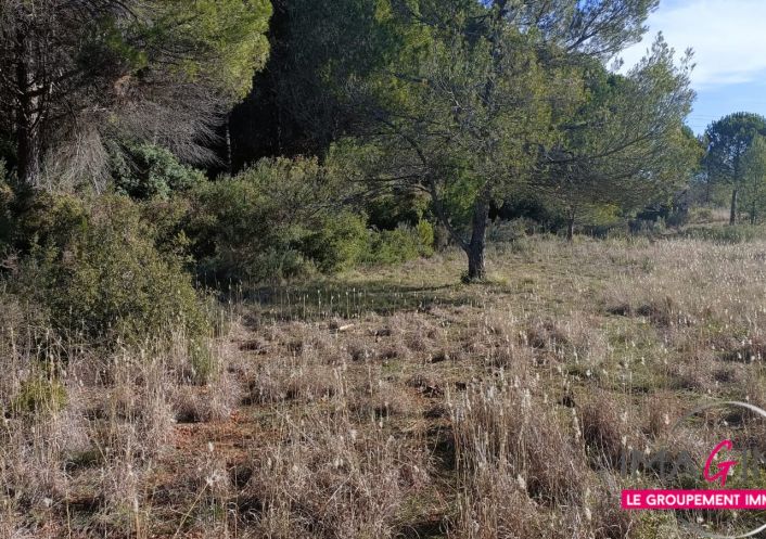 à vendre Terrain agricole Montarnaud