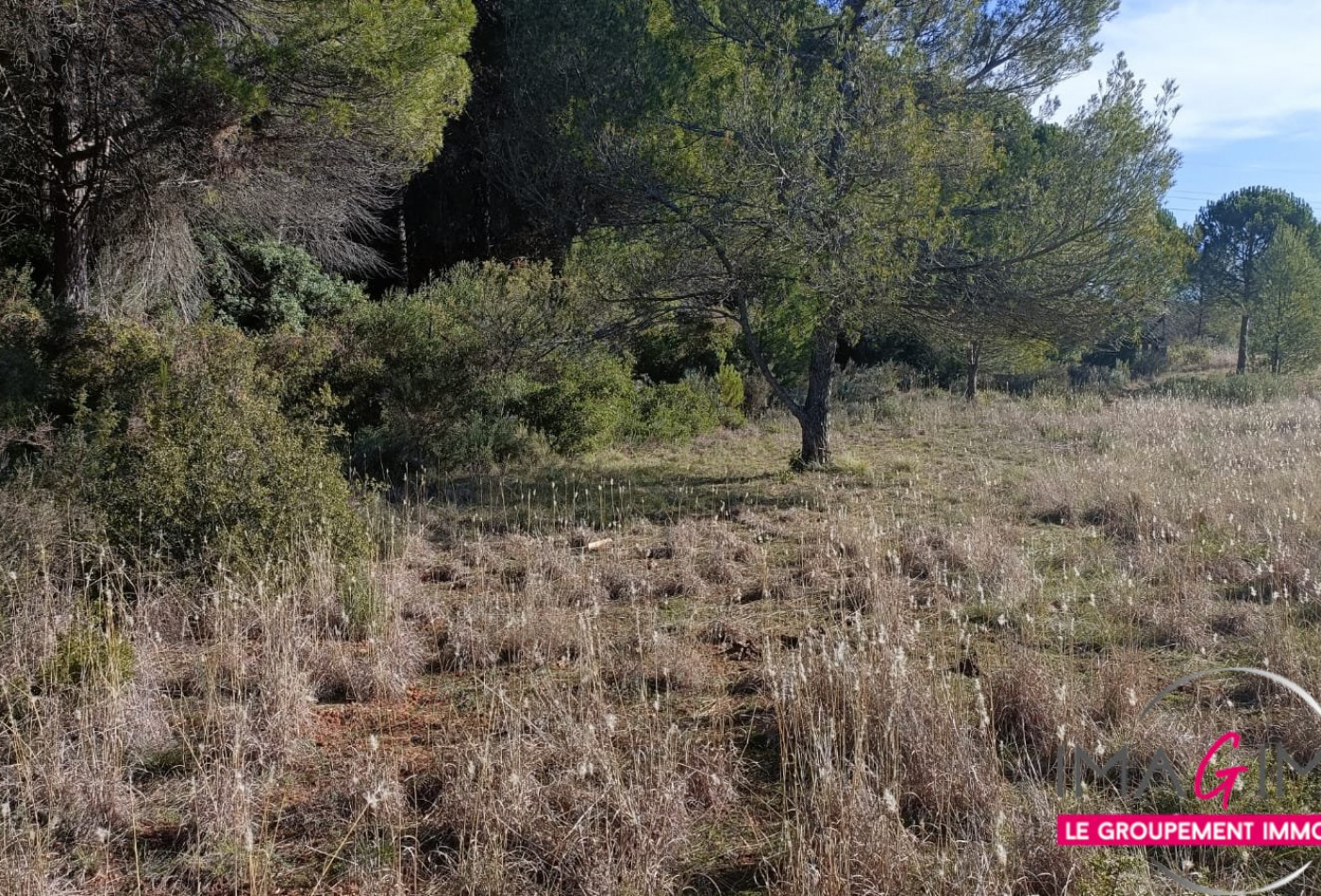 à vendre Terrain agricole Montarnaud - Photo 4