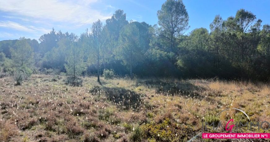 vente Terrain agricole Montarnaud