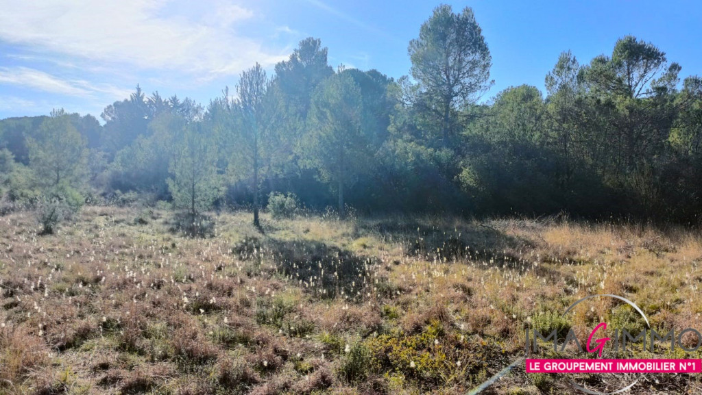 vente Terrain agricole Montarnaud - Photo 2