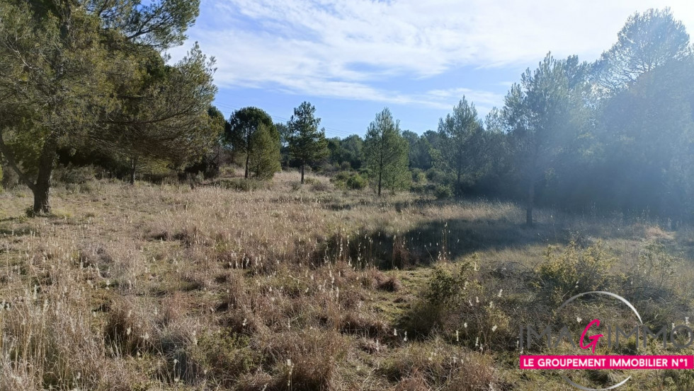 vente Terrain agricole Montarnaud - Photo 5