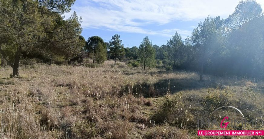 vente Terrain agricole Montarnaud