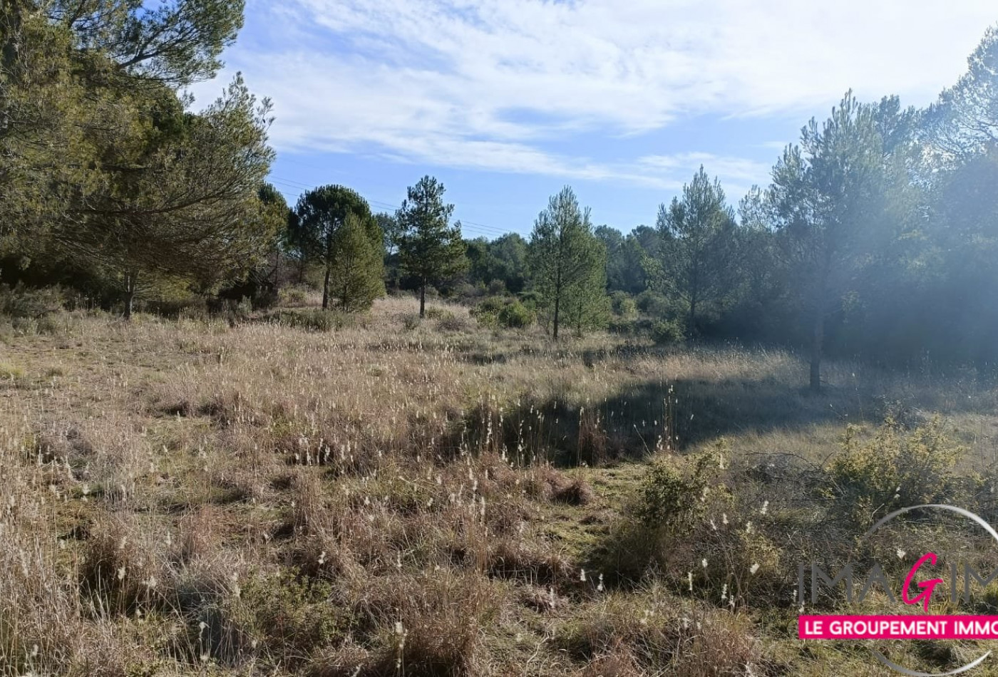 à vendre Terrain agricole Montarnaud - Photo 5