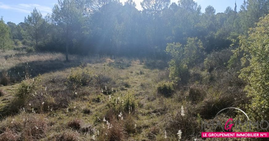 vente Terrain agricole Montarnaud