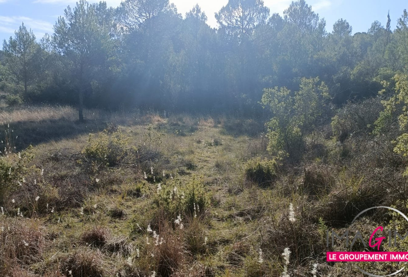 à vendre Terrain agricole Montarnaud - Photo 6
