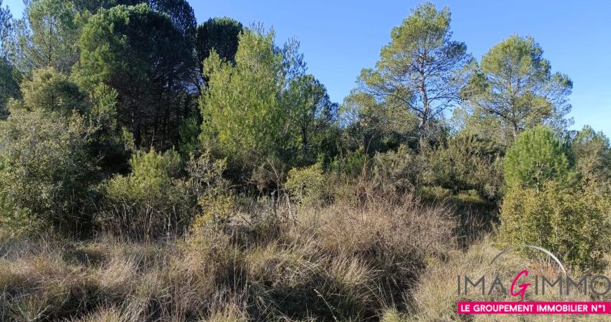 vente Terrain agricole Montarnaud