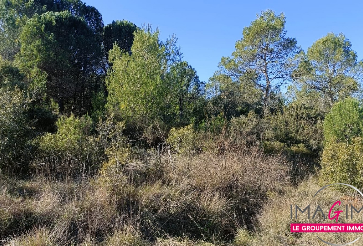 à vendre Terrain agricole Montarnaud - Photo 7