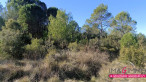 vente Terrain agricole Montarnaud