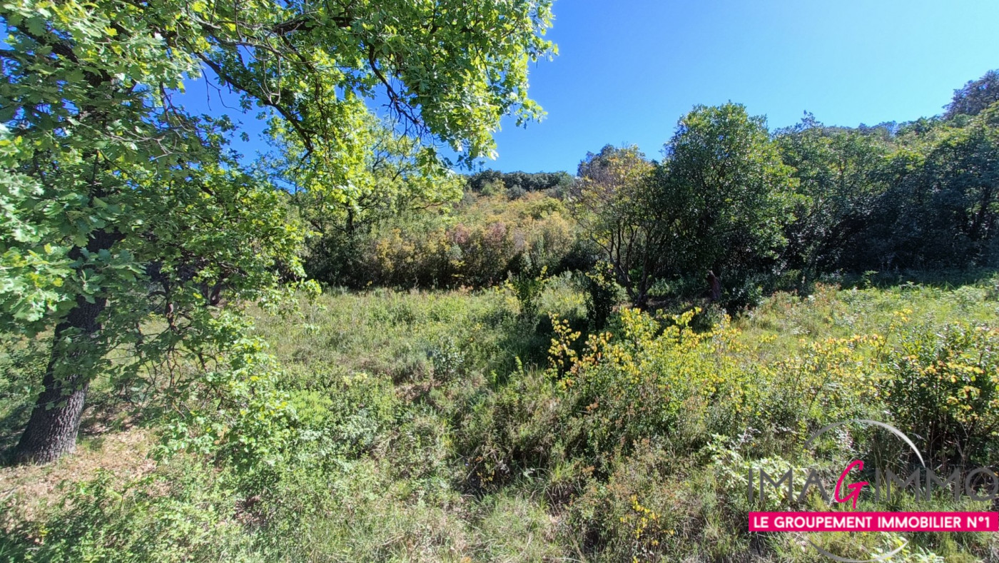 vente Terrain non constructible Vailhauques - Photo 2