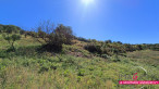 vente Terrain non constructible Vailhauques