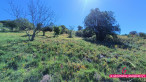 vente Terrain non constructible Vailhauques