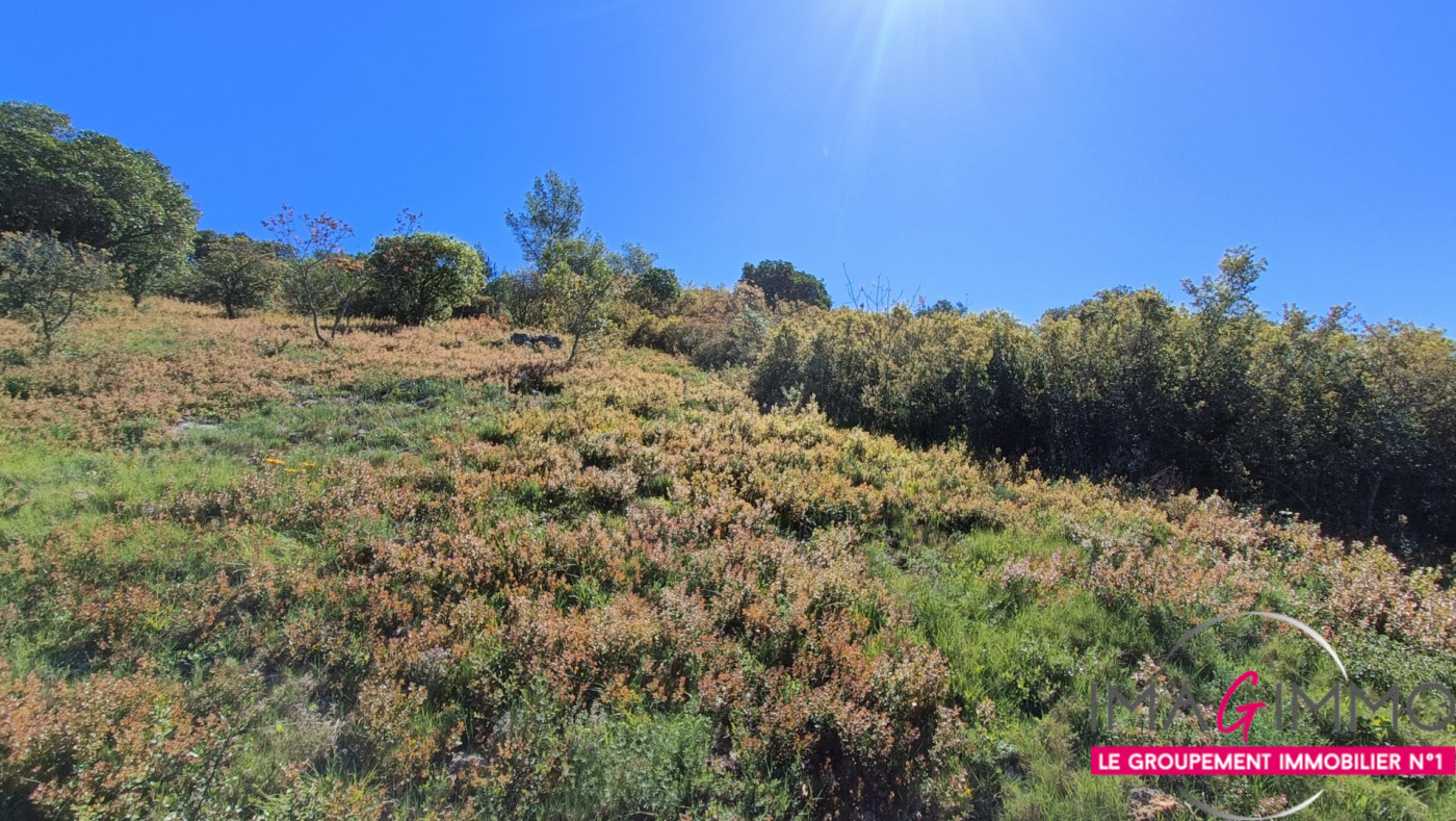vente Terrain non constructible Vailhauques - Photo 4