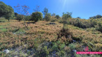 vente Terrain non constructible Vailhauques