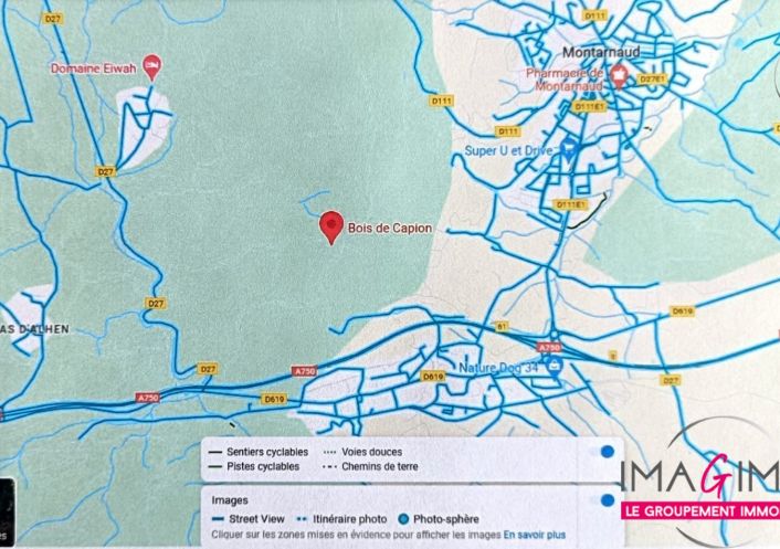 à vendre Terrain boisé – forêt Montarnaud