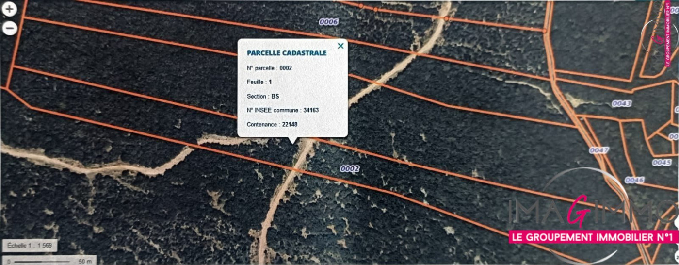 vente Terrain boisé – forêt Montarnaud - Photo 1