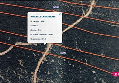 vente Terrain boisé – forêt Montarnaud