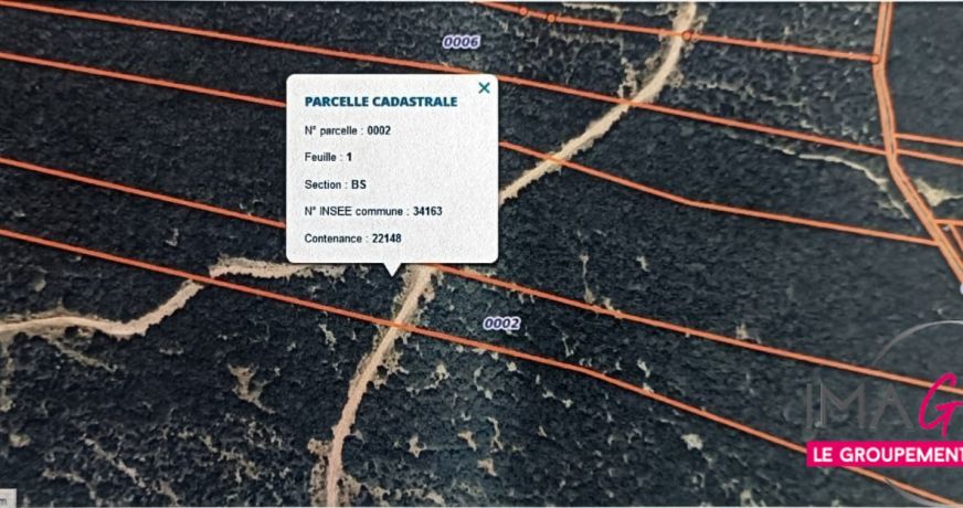 vente Terrain boisé – forêt Montarnaud