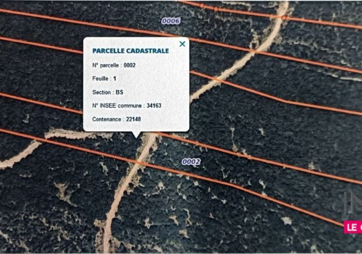 à vendre Terrain boisé – forêt Montarnaud