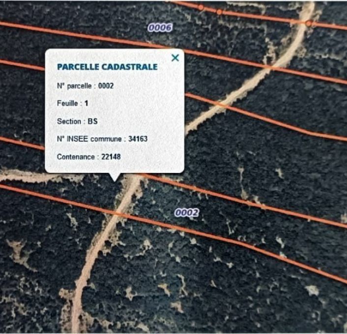 à vendre Terrain boisé – forêt Montarnaud