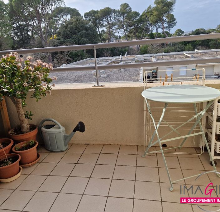 vente Studio Montpellier