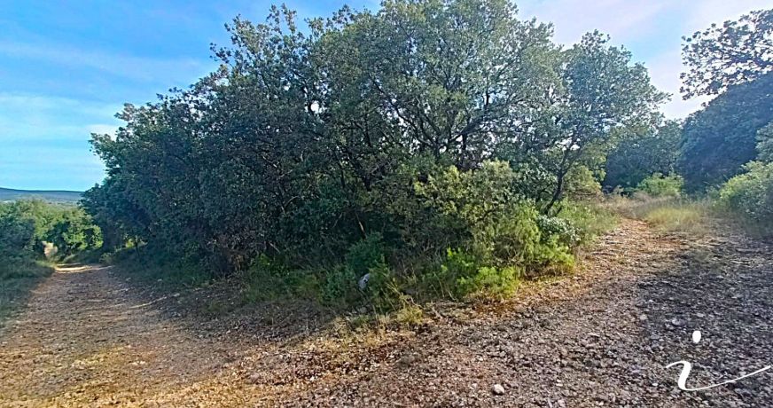 vente Terrain agricole Lagamas