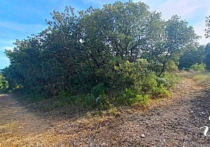 à vendre Terrain agricole Lagamas