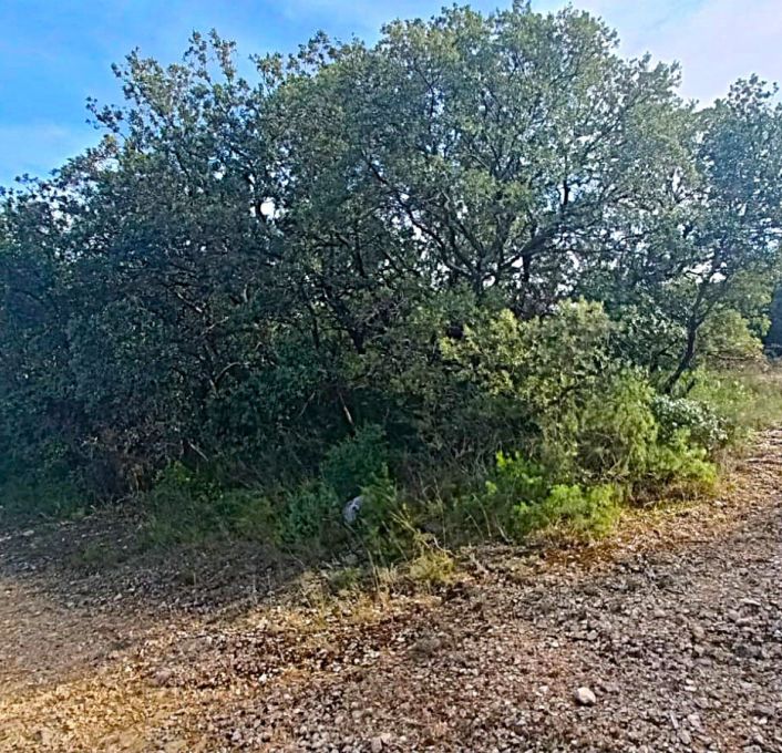 à vendre Terrain agricole Lagamas