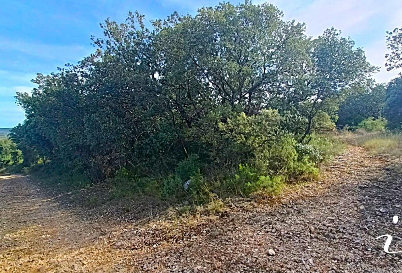 à vendre Terrain agricole Lagamas - Photo 2