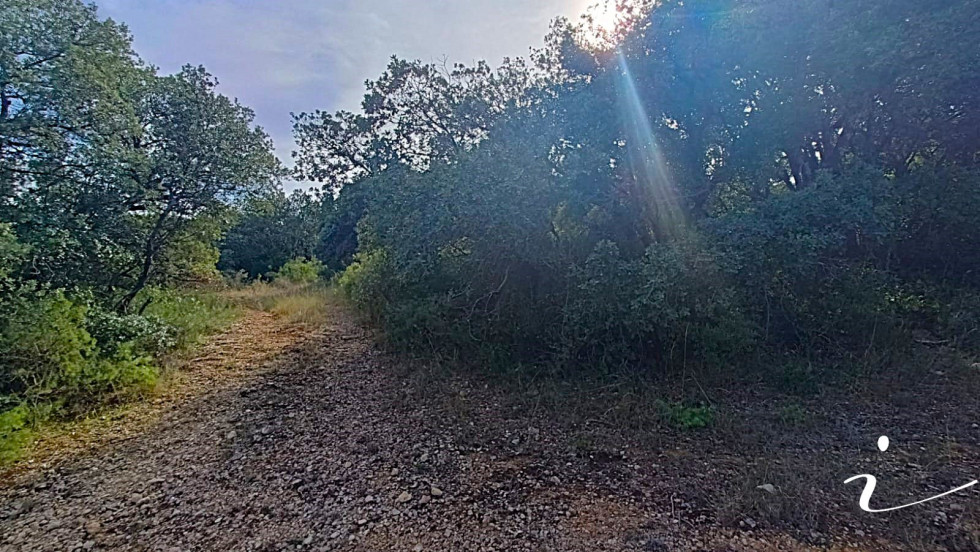 vente Terrain agricole Lagamas - Photo 5