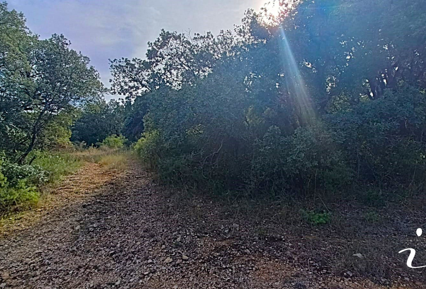 à vendre Terrain agricole Lagamas - Photo 5