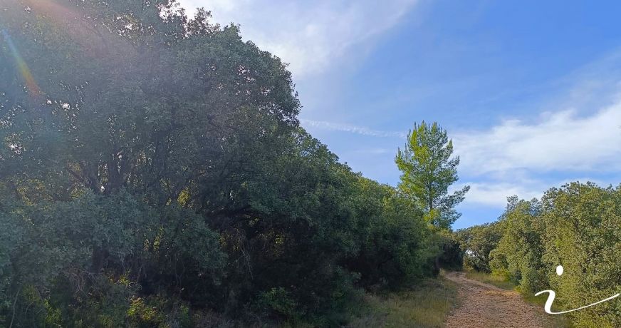 vente Terrain agricole Lagamas