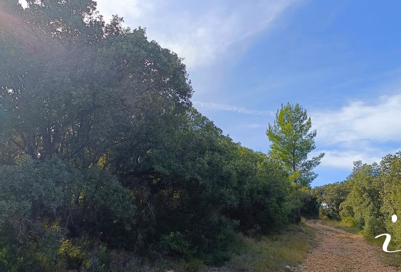 à vendre Terrain agricole Lagamas - Photo 6