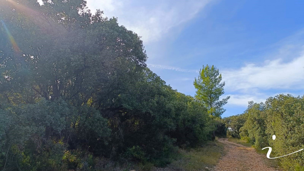 vente Terrain agricole Lagamas - Photo 6