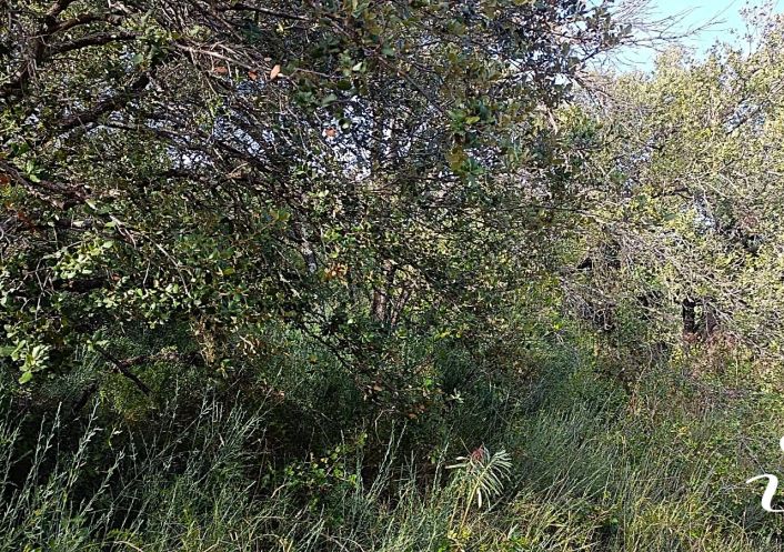 à vendre Terrain agricole Lagamas