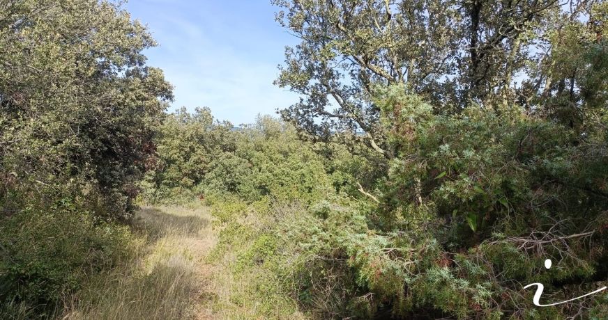 vente Terrain agricole Lagamas