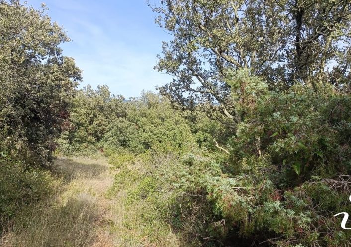 à vendre Terrain agricole Lagamas