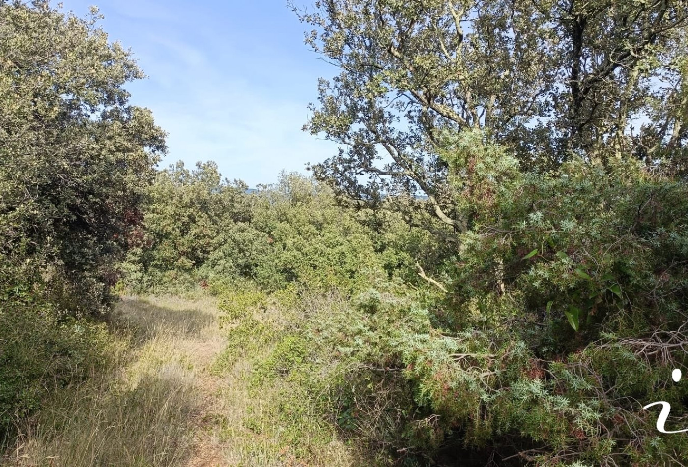 à vendre Terrain agricole Lagamas - Photo 3