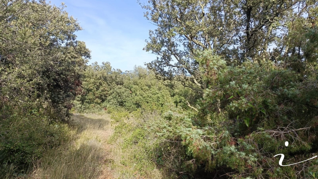 vente Terrain agricole Lagamas - Photo 3