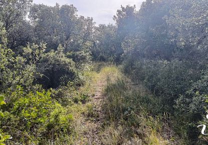 vente Terrain agricole Lagamas