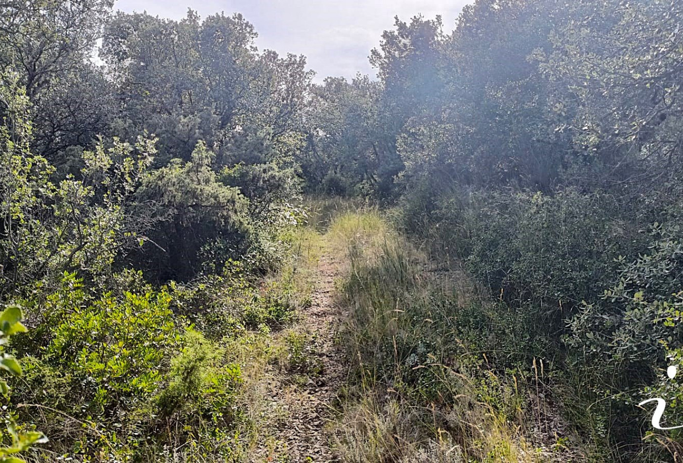à vendre Terrain agricole Lagamas - Photo 1