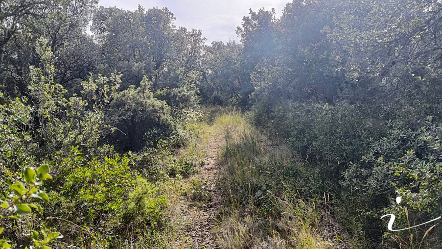 vente Terrain agricole Lagamas