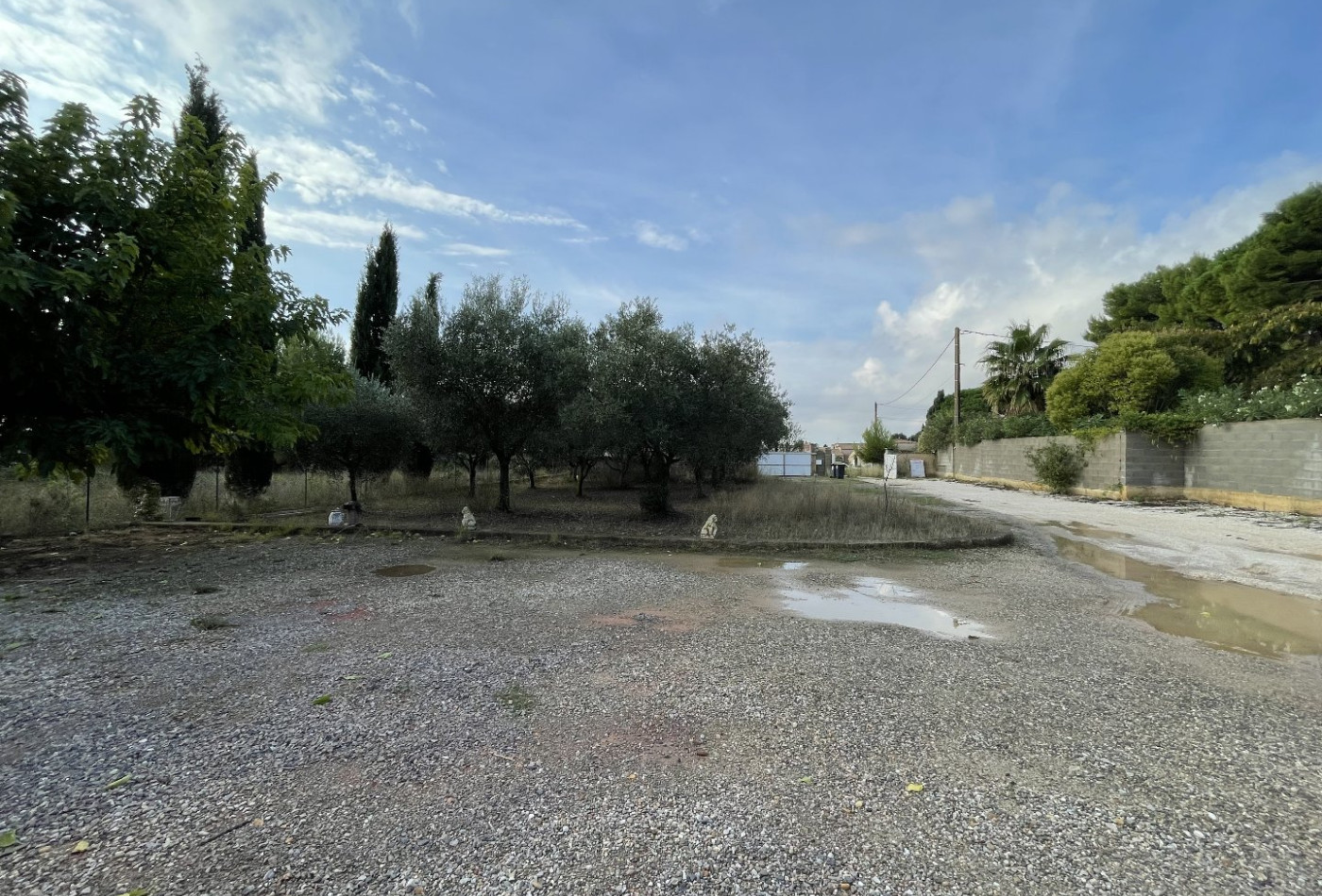 vente Terrain constructible Meze - Photo 3